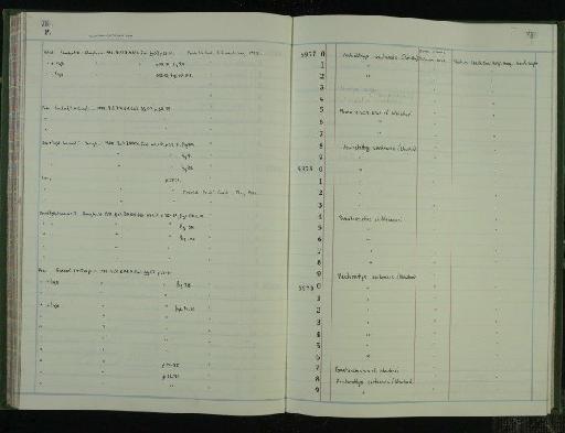 Pomatoschistus T. N. Gill, 1863 - NHM-UK_P_DF118_03_19_0151