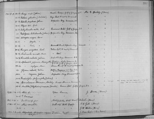 Polynoe tuta Grube - Zoology Accessions Register: Annelida & Echinoderms: 1924 - 1936: page 267