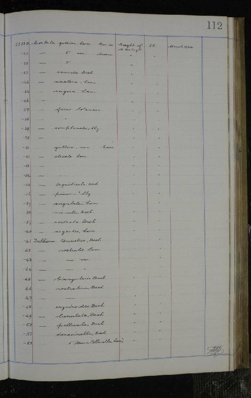 Suchosaurus cultridens Owen, 1841 - NHM-UK_P_DF118_02_02_0225