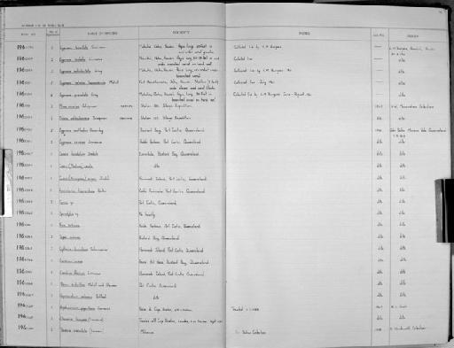 Cypraea helvola hawaiiensis Melvill - Zoology Accessions Register: Mollusca: 1962 - 1969: page 14