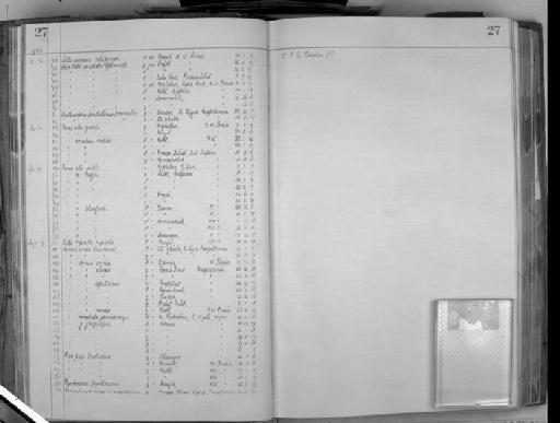 Pyrrhocorax pyrrhocorax docilis (S.G. Gmelin, 1774) - Zoology Accessions Register: Aves (Skins): 1932 -1934: page 27