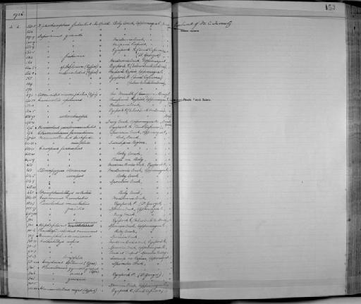 Abramites microcephalus Norman, 1926 - Zoology Accessions Register: Fishes: 1912 - 1936: page 153