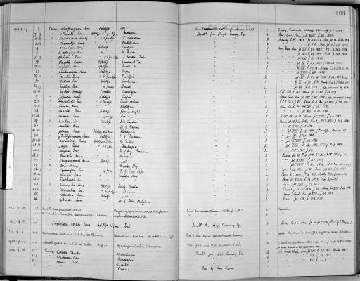 Cerithium moreleti de Folin, 1867 - Zoology Accessions Register: Mollusca: 1938 - 1955: page 106