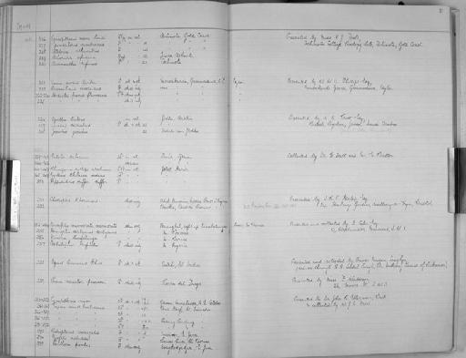 Asellia tridens - Zoology Accessions Register: Mammals: 1937 - 1951: page 71