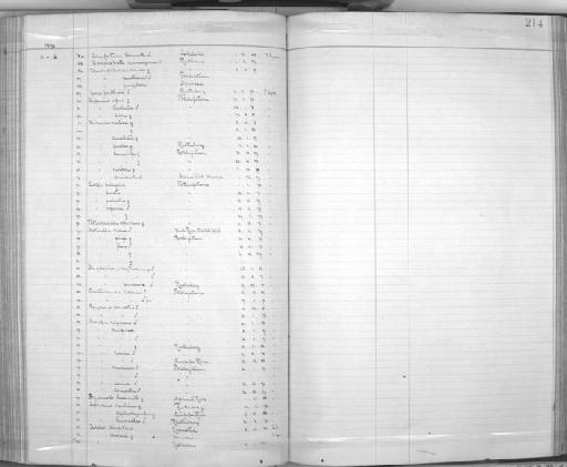 Hirundo semirufa semirufa - Zoology Accessions Register: Aves (Skins): 1888 -1892: page 214