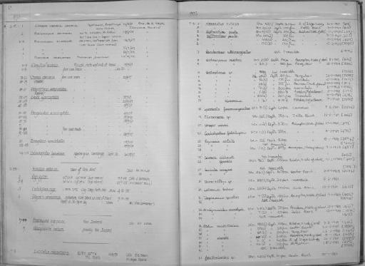 Conger cinereus cinereus - Zoology Accessions Register: Fishes: 1971 - 1985: page 70