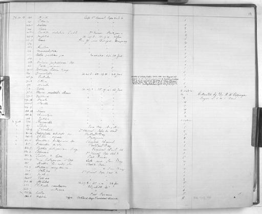 Chiton - Zoology Accessions Register: Mollusca: 1877 - 1883: page 82