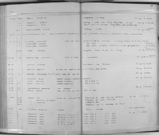 Trigla lastoviza Bonnaterre, 1788 - Zoology Accessions Register: Fishes: 1961 - 1971: page 119