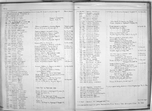 Pimephales sp - Zoology Accessions Register: Fishes: 1971 - 1985: page 331