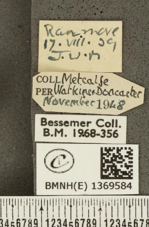 Aricia agestis ab. deleta Cockerell, 1889 - BMNHE_1369584_label_177468