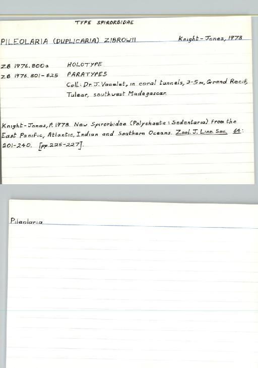 Pileolaria zibrowii Knight-Jones,  1978 - Poychaeta_Type_1148-combined