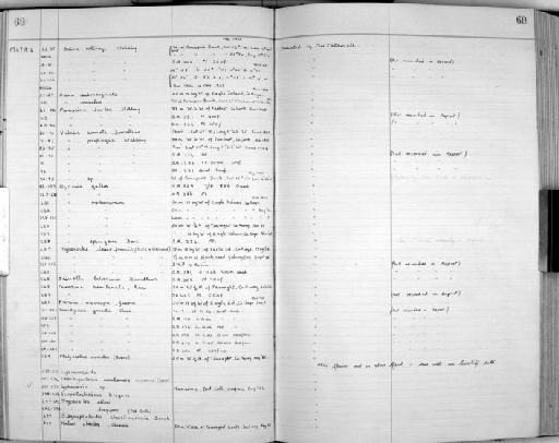 Scina vosseleri parvorder Physosomatidira Tattersall, 1906 - Zoology Accessions Register: Crustacea: 1935 - 1962: page 69