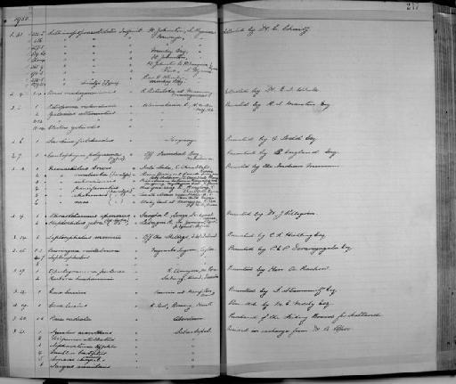 Rasbora rasbora Hamilton, 1822 - Zoology Accessions Register: Fishes: 1912 - 1936: page 217