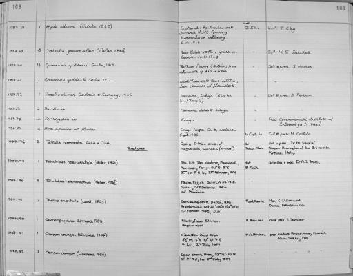 Tetralia inamorata subsection Heterotremata section Eubrachyura Galil and Clark - Zoology Accessions Register: Crustacea: 1984 - 1991: page 108