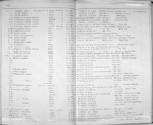 Conocara salmonea - Zoology Accessions Register: Fishes: 1986 - 1994: page 101