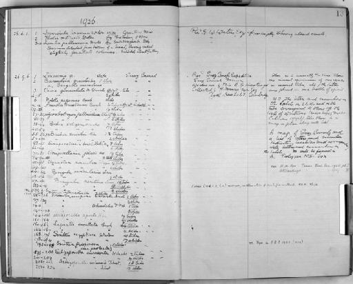 Lepralia cucullata Busk, 1854 - Zoology Accessions Register: Bryozoa: 1922 - 1949: page 13