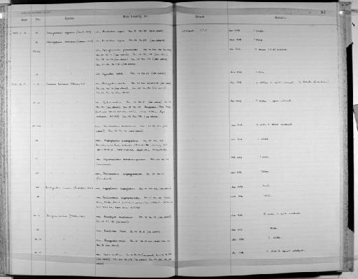 Derogenes varicus (Müller, 1784) Looss, 1901 - Zoology Accessions Register: Platyhelminth: 1971 - 1981: page 91