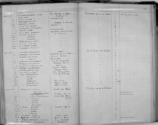 Ennea laqueus subterclass Tectipleura Preston, 1913 - Zoology Accessions Register: Mollusca: 1911 - 1924: page 128
