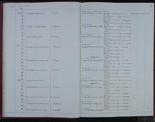 Caudites procelata Al-Furaih, 1980 - NHM-UK_P_DF118_04_10_0023