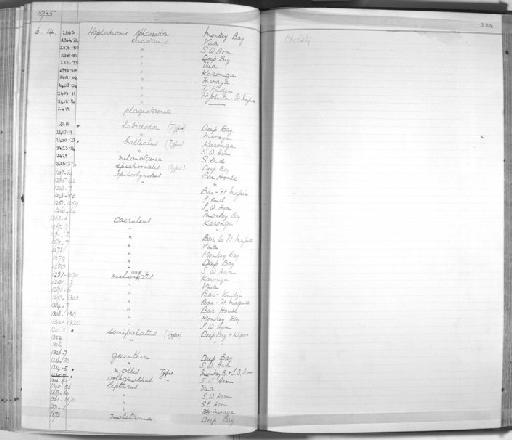 Haplochromis epichorialis Trewavas, 1935 - Zoology Accessions Register: Fishes: 1912 - 1936: page 334