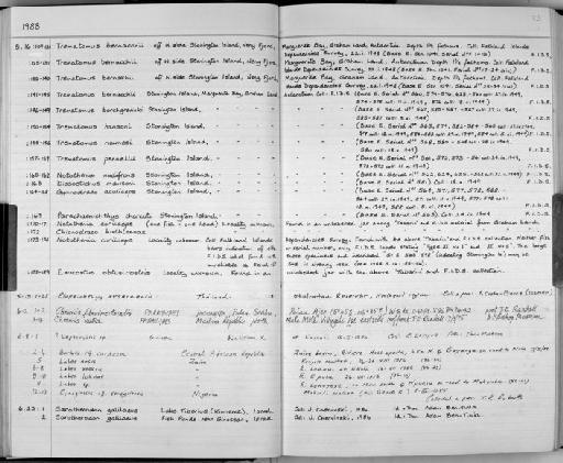 Chromis flavipectoralis Randall, 1988 - Zoology Accessions Register: Fishes: 1986 - 1994: page 73