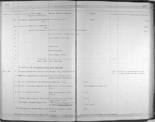 Polydora polybranchia Haswell, 1885 - Zoology Accessions Register: Annelida: 1936 - 1970: page 177