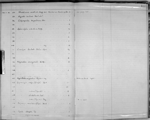 Cinachyra barbata Sollas, 1886 - Zoology Accessions Register: Spongiida: 1918 - 1928: page 130