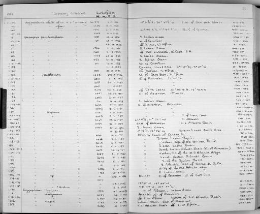 Argyropelecus affinis Garman, 1899 - Zoology Accessions Register: Fishes: 1986 - 1994: page 63