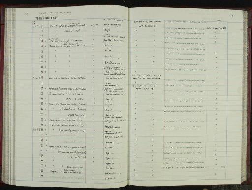 Acrocoelites (Odontobelus) vulgaris (Young & Bird, 1822) - NHM-UK_P_DF118_06_38_0163