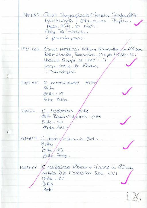 Conus messiasi Rolan & F. Fernandes, 1990 - Zoology Accessions Register: Mollusca: 1986 - 1993: page 126