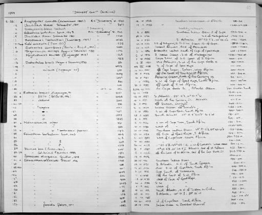 Idiacanthus atlanticus Brauer, 1906 - Zoology Accessions Register: Fishes: 1986 - 1994: page 67