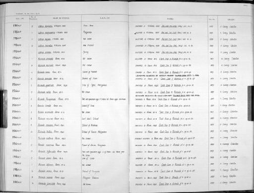 Ricinula ferruginosa Reeve, 1846 - Zoology Accessions Register: Mollusca: 1962 - 1969: page 226