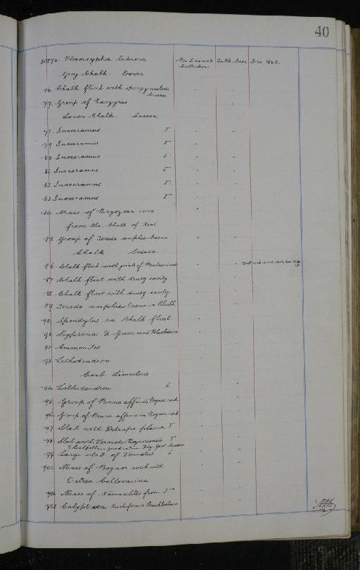 Oxyrhina infraphylum Gnathostomata Agazziz, 1843 - NHM-UK_P_DF118_02_02_0081