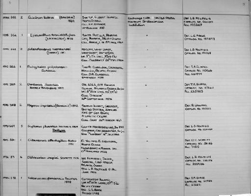 Calcinus californiensis Bouvier, 1898 - Zoology Accessions Register: Crustacea: 1976 - 1984: page 9