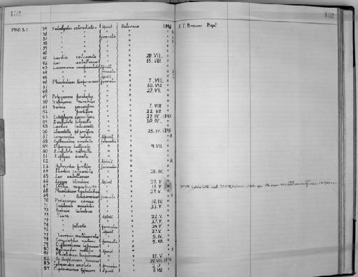 Obelia nigra Browne, 1900 - Zoology Accessions Register: Coelenterata: 1934 - 1951: page 152