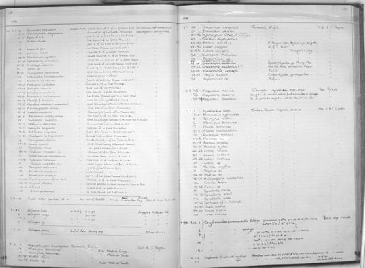 Thalassoma amblycephalus - Zoology Accessions Register: Fishes: 1971 - 1985: page 289