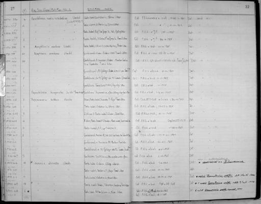 Renneloscia novabrittanica - Zoology Accessions Register: Crustacea: 1969 - 1976: page 27