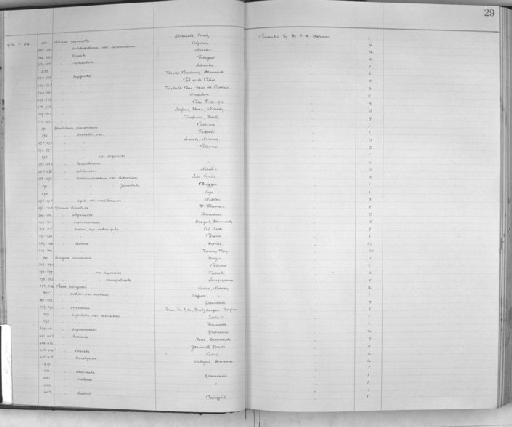 Bela rugulata schneideri - Zoology Accessions Register: Mollusca: 1925 - 1937: page 29