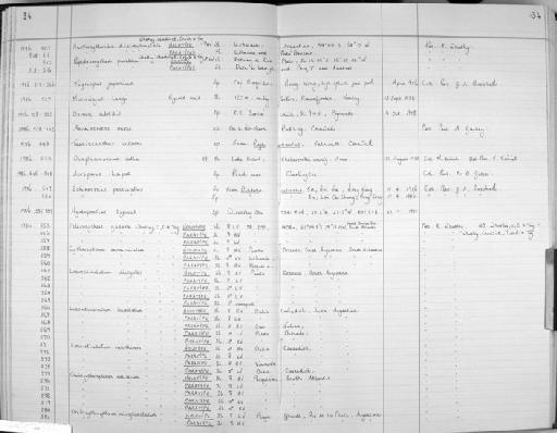 Pelecocythere galleta Whatley, Chadwick, Coxill & Toy, 1988 - Zoology Accessions Register: Crustacea (Entomostraca): 1982 - 1993: page 34