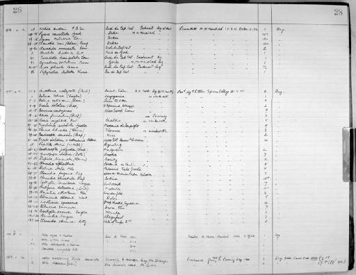 Mitra exigua C. B. Adams, 1845 - Zoology Accessions Register: Mollusca: 1956 - 1978: page 28