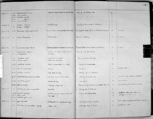 Octopus horridus d'Orbigny, 1826 - Zoology Accessions Register: Mollusca: 1938 - 1955: page 53