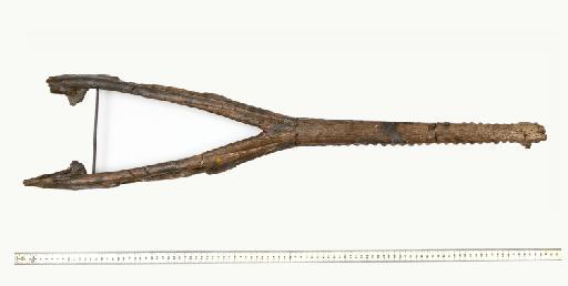 Charitomenosuchus leedsi - PV R 3806 mandible 004