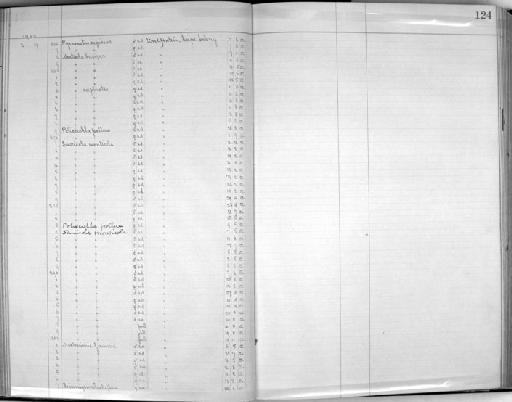 Nectarinia chalybeus - Zoology Accessions Register: Aves (Skins): 1902 - 1904: page 124