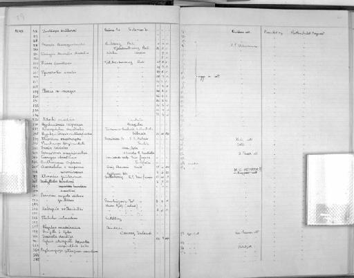 Prinia familiaris Horsfield, 1821 - Zoology Accessions Register: Aves (Nest): 1959 - : page 40