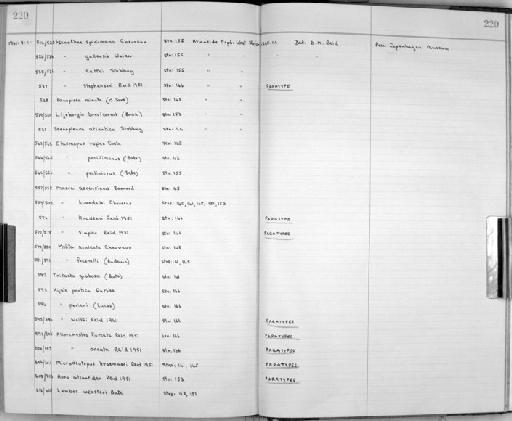 Stenothoe stephensi parvorder Amphilochidira Reid, 1951 - Zoology Accessions Register: Crustacea: 1935 - 1962: page 220