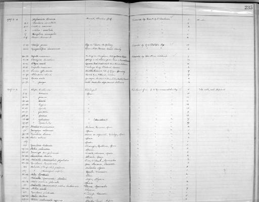 Pupa (Torquilla) avenacea subterclass Tectipleura (Bruguière, 1792) - Zoology Accessions Register: Mollusca: 1925 - 1937: page 235