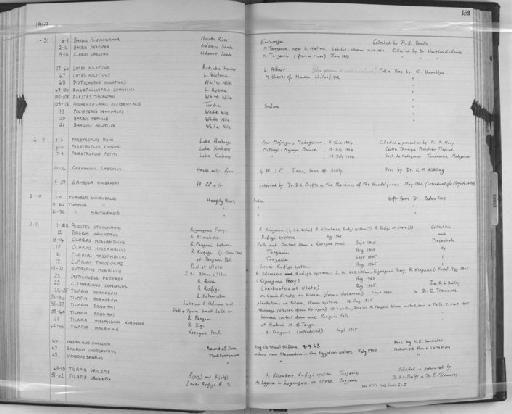 Oreochromis korogwe (Lowe, 1955) - Zoology Accessions Register: Fishes: 1961 - 1971: page 162