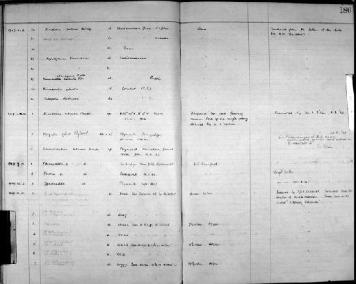 Cyphonautes Ehrenberg, 1833 - Zoology Accessions Register: Bryozoa: 1922 - 1949: page 186