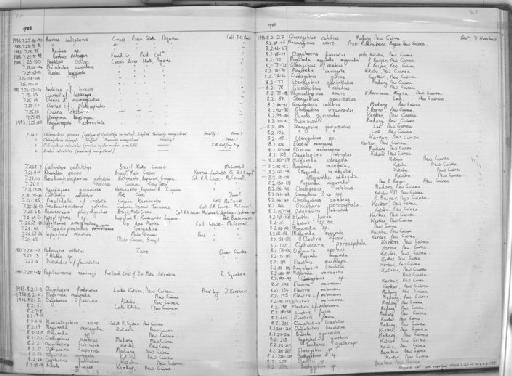 Oxyeleotris fimbriatus - Zoology Accessions Register: Fishes: 1971 - 1985: page 367