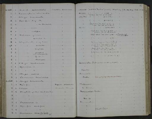 Spirifer rotundata J. Sowerby - NHM-UK_P_DF118_02_29_0177